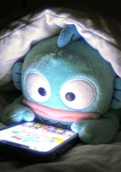 本当に身体だけ？