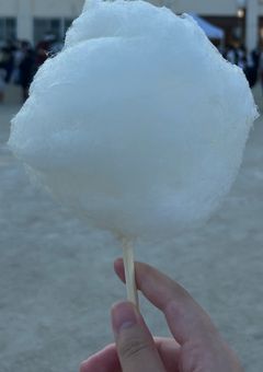 小説コンテント