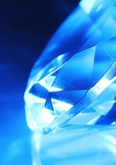 賽 子 隔 離 精 神 病 棟 。