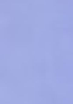 双黒のお気に入りは愛が重い
