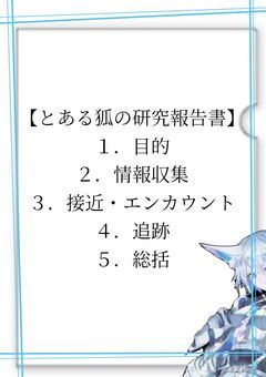 【とある狐の研究報告書】