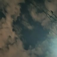 yukiさんのアイコン画像