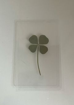 今日、好きになりました 。