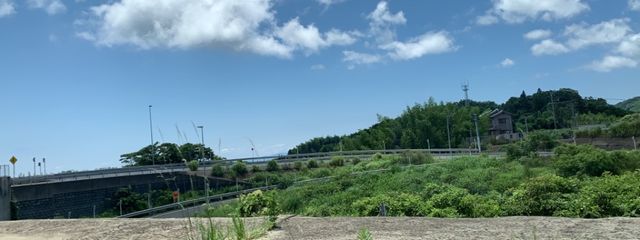 あおいさんの壁紙画像