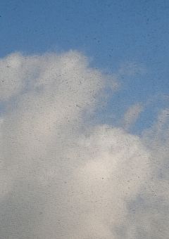活動休止