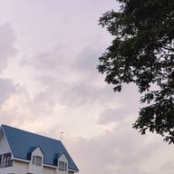 🕊🎷さんのアイコン画像