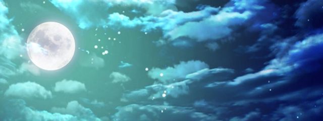 夜天マロン #🌙💕🌺 5か月に一回ぐらいは帰ってくるさんの壁紙画像