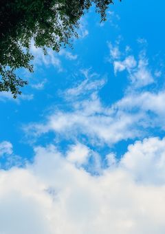 Rayちゃんのイラスト部屋‪ᝰ✍︎