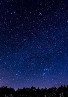 星空の下で秘密の恋に落ちる