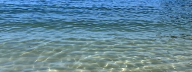 Ray_Urugamiさんの壁紙画像