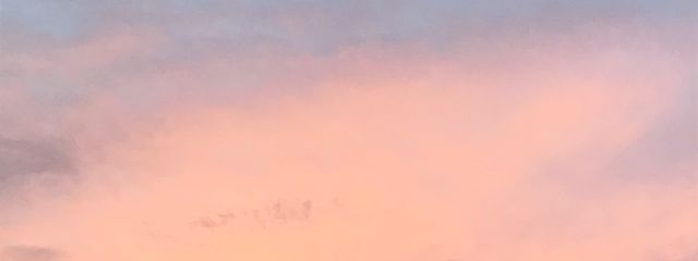 ごはん🧸（旧にじ）さんの壁紙画像