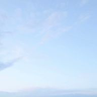 ごはん🧸（旧にじ）さんのアイコン画像