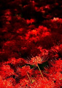 無痛症の私が地獄行きだってー!!