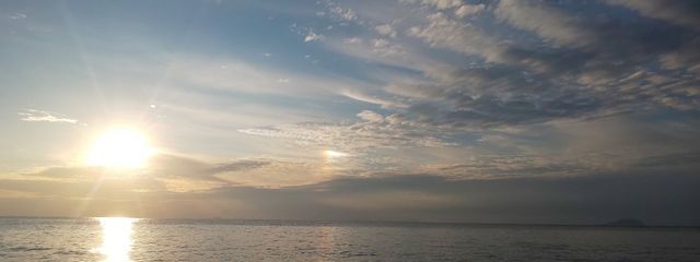 すみさんの壁紙画像