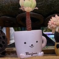 sevenさんのアイコン画像