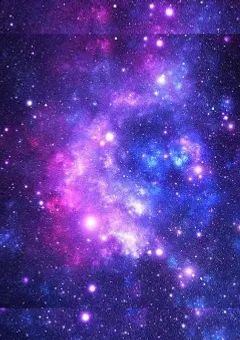 ショッピ君の弟は可愛いから愛される!?