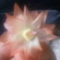 ゆりあさんのアイコン画像