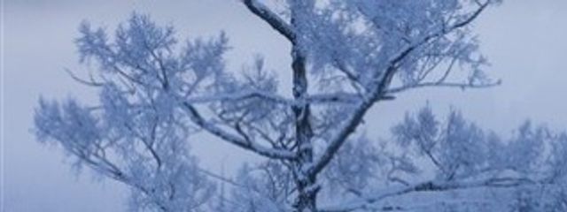 ☂☾𝓡𝓪𝓲𝓷さんの壁紙画像