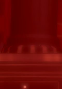 玲音のコスプレレポート