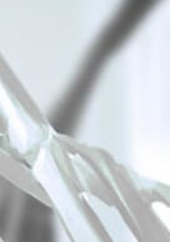 ヤンデレ達に付きまとわれてます。