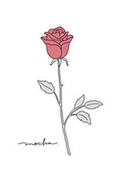 4人からの薔薇と白い薔薇