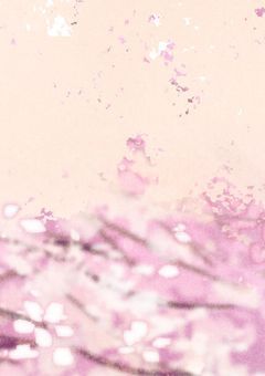 悲しみたくない、悲しませたくない。―You mustn't love me―
