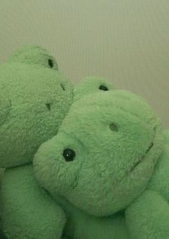 距離が近いですomrくん