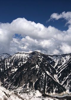 好きな歌と踊みた紹介