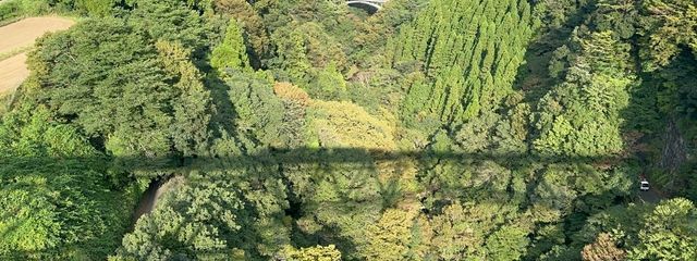 にこさんの壁紙画像