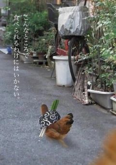 人と話したい‼