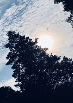 ずっとそばにいる