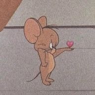 たいがちゃん🍼さんのアイコン画像