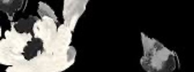 瞳 茉さんの壁紙画像