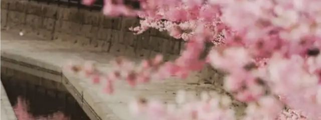 雨玉️🫧🎐亀投稿さんの壁紙画像