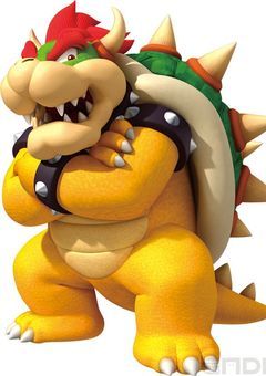 クッパが好きなのは実はピーチ姫ではなく､､､､