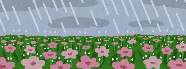 推し尊しさんの壁紙画像