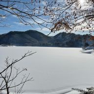 tbkcさんのアイコン画像