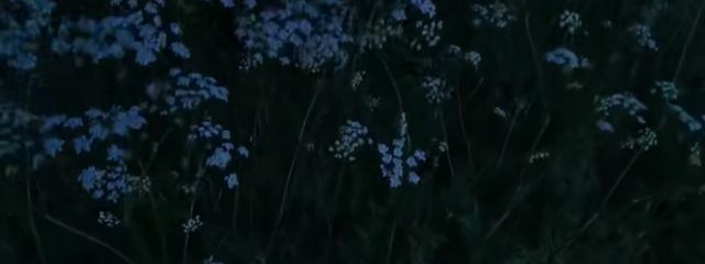 一瀬さんの壁紙画像