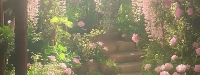 走れないメロスさんの壁紙画像