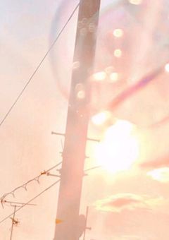 余命1年の君と、とても儚い恋をした