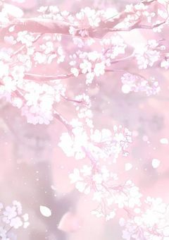 桜が咲く頃に、君を忘れる。