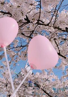 🌸出会いの花を咲かせませんか🌷