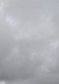 僕たちは神様に祈った