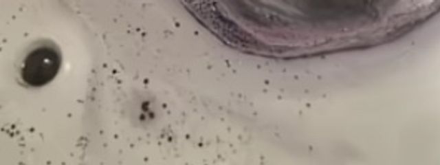 工藤 滴さんの壁紙画像