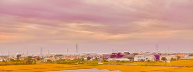 Shukaさんの壁紙画像