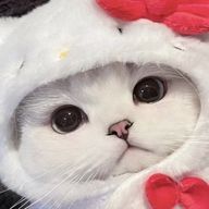 ゆきさんのアイコン画像
