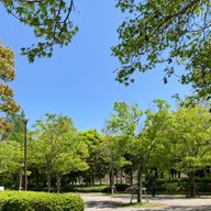 桜花さんのアイコン画像