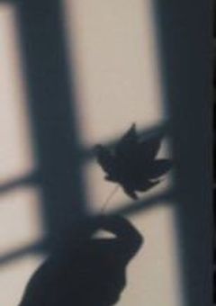 Light love