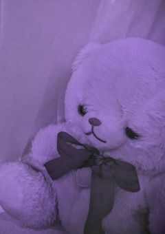 紫 花 💜 ‪ の F C 