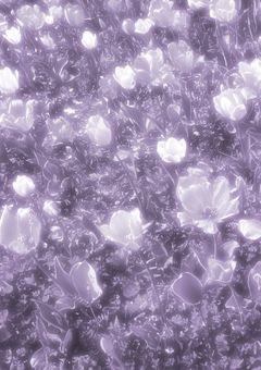    💬 ︰ give a bouquet